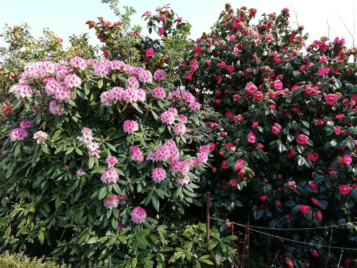*** Bed & Breakfast Bed and Breakfast Le Berceul La Richardais Francie